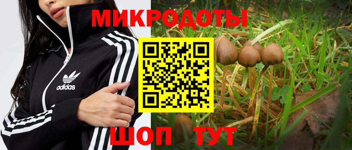 Омск  Псилоцибиновые грибы Psilocybe  Вход с VPN  Псилоцибиновые грибы мицелий 